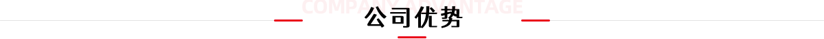 公司优势